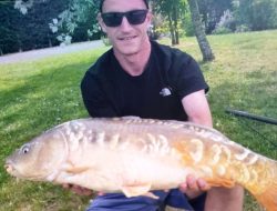 Woman stabs ex-partner to death on Christmas Day, court hears