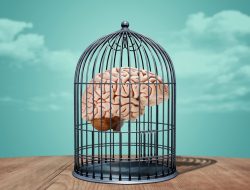 Opinion: Can We Change Minds Without Free Speech?