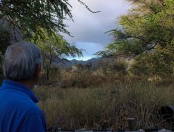 Could This Hawaii Town Share Lahaina’s Tragedy? Residents Worry About a Fiery Future