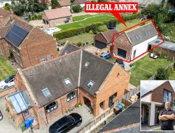 I Cut Down a Protected Tree for a £75k Man Cave – Neighbors Are Furious