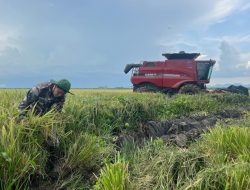 Cuba’s First Foreign Farmland Lease Yields Bountiful Harvest